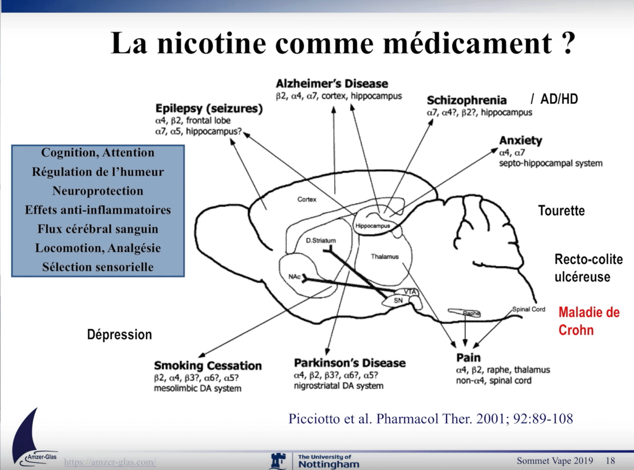 nicotine medicament